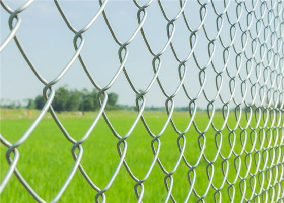 Ağır Hizmet Tipi Galvanizli Çelik 1.8m X 25m Zincir Bağlantı Eskrim Mesh